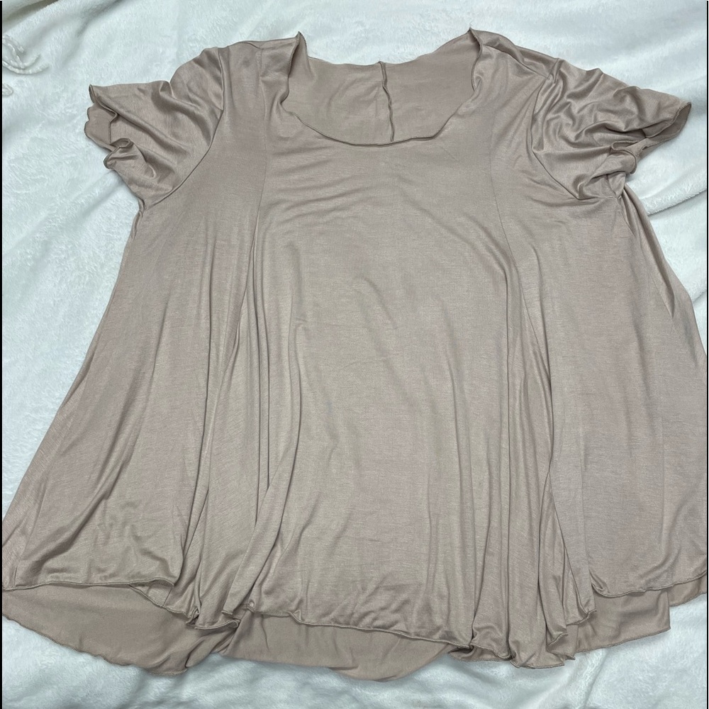 Brand New WO Tags Taupe Swing Blouse